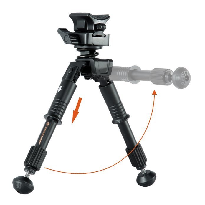 Vanguard Equalizer 1QS