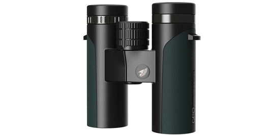 Binocolo GPO Passion ED 8x32 verde, vista frontale