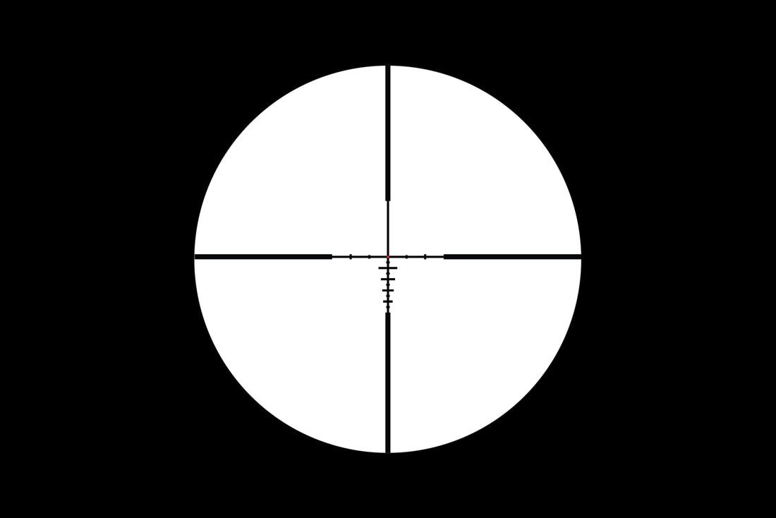 Primary Arms SLx 1-10x28mm Nova - vista reticolo ACSS Nova