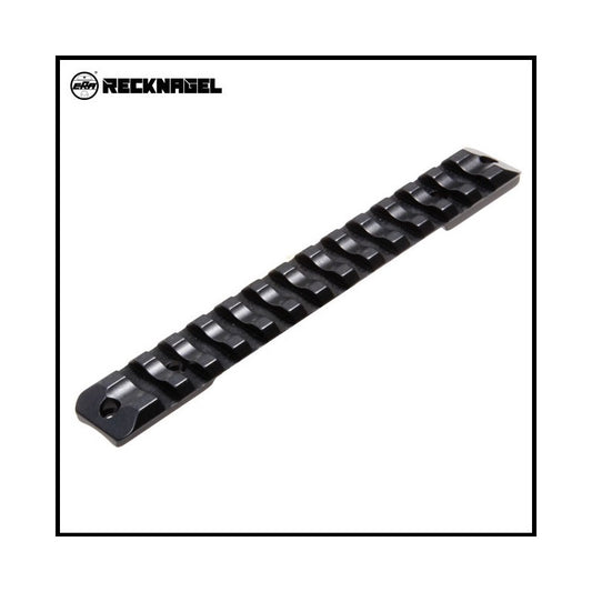 Recknagel base Picatinny/Weaver per Sauer 202 Magnum