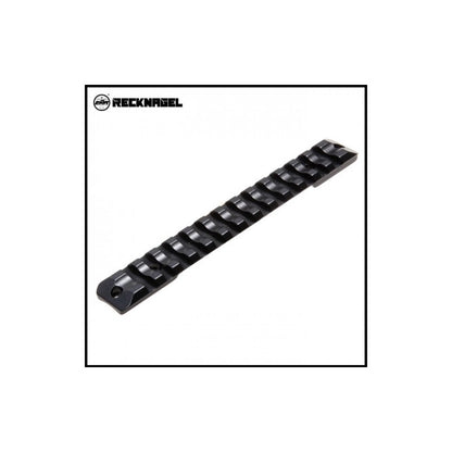 Recknagel base Picatinny/Weaver per Sauer 202 Magnum