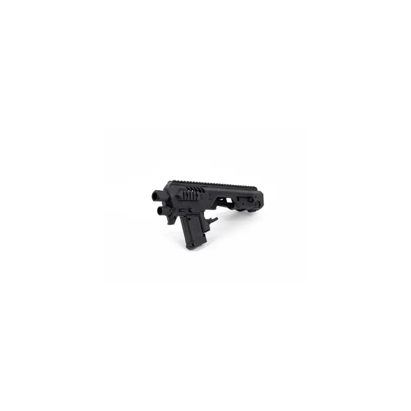 CAA Micro RONI Gen 4X CZ P-10 C