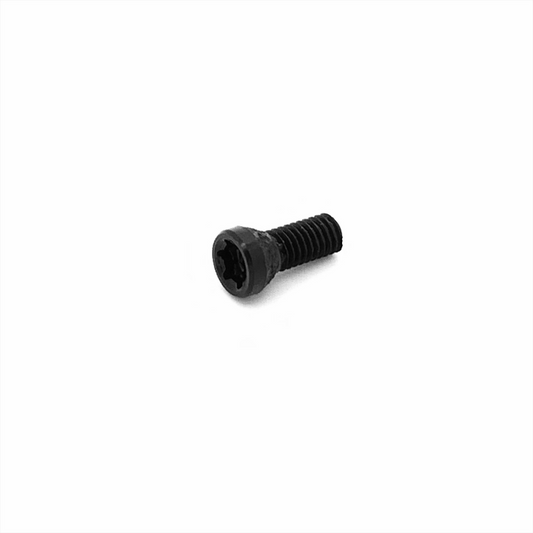 Tanfoglio Torx Grip Screw