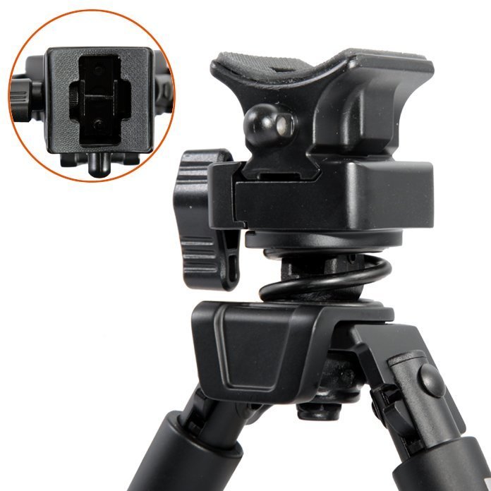 Vanguard Equalizer 1QS