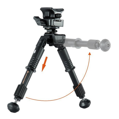 Vanguard Equalizer 1QS