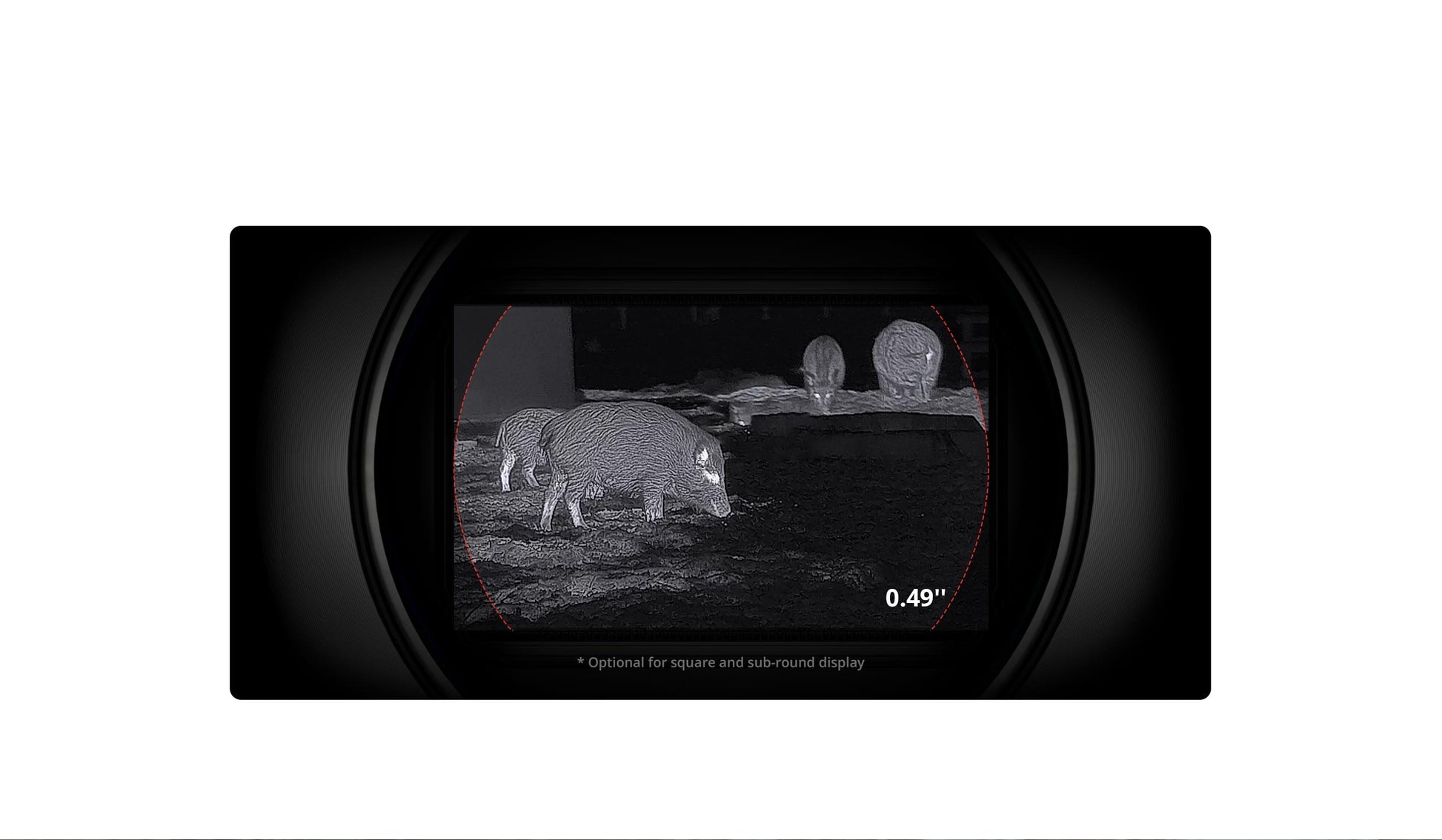 HIKMICRO Falcon FQ35 2.0 - display OLED