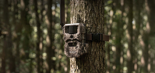 HIKMICRO T16 fototrappola 4G