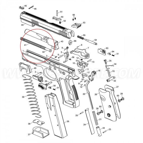 CZ Recoil Spring Guide SP01