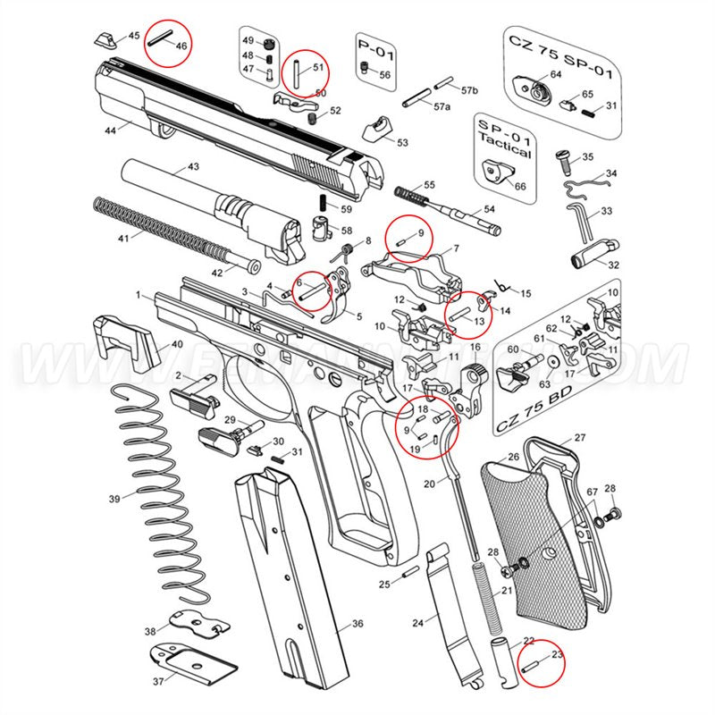 Eemann Tech Pins Set For CZ