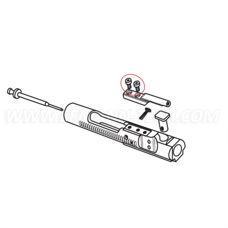 Eemann Tech Bolt Carrier Key Screw for AR-15 - 2 Pcs.