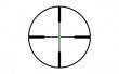 Trijicon AccuPoint, 3-9x40mm Riflescope 1 in. Tube