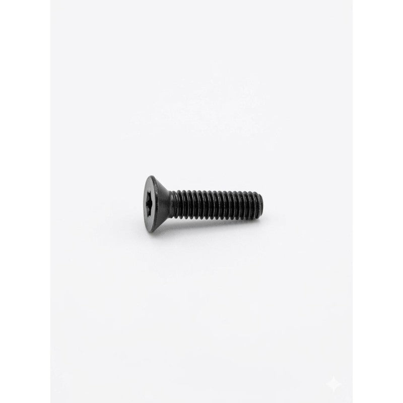 Recknagel vite Torx M4x16 classe 10.9