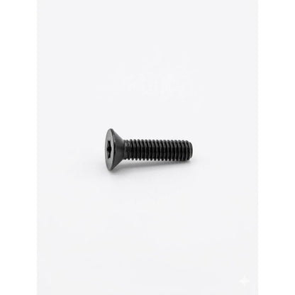 Recknagel vite Torx M4x16 classe 10.9