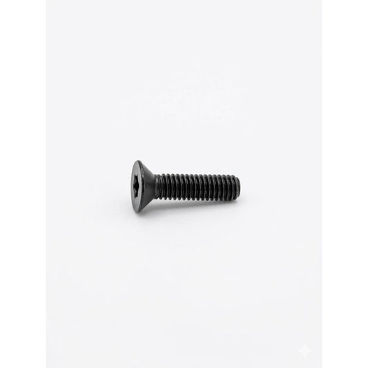 Recknagel vite Torx M4x16 classe 10.9