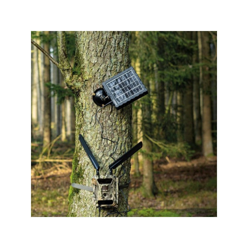 Dörr pannello solare SP-1500 12 V con batteria 1500 mAh per fototrappole