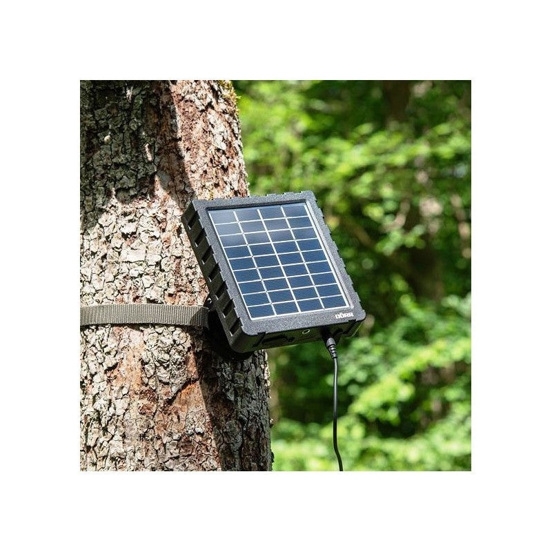 Dörr pannello solare SP-1500 12 V con batteria 1500 mAh per fototrappole