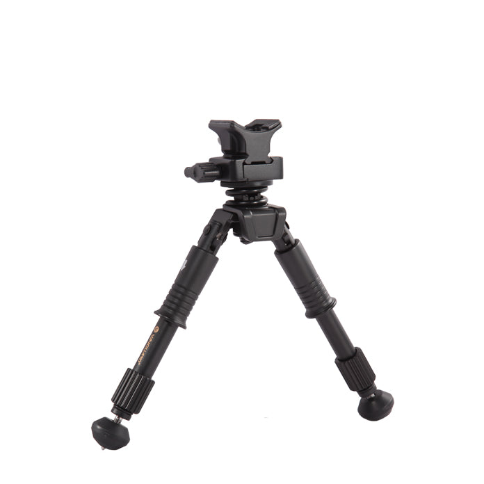 Vanguard Equalizer 1QS