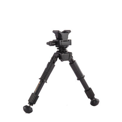 Vanguard Equalizer 1QS