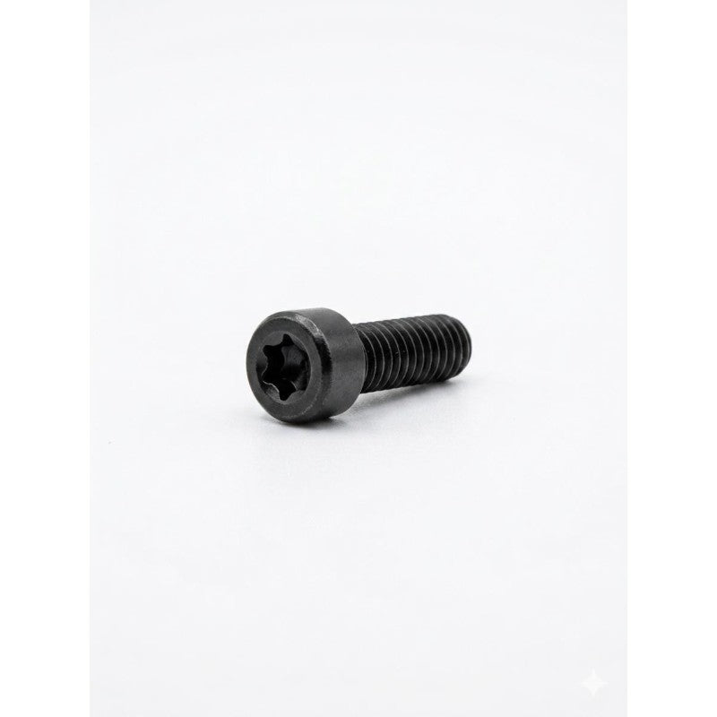 Poli Nicoletta vite Torx 3,5x06 confezione 1 pezzo