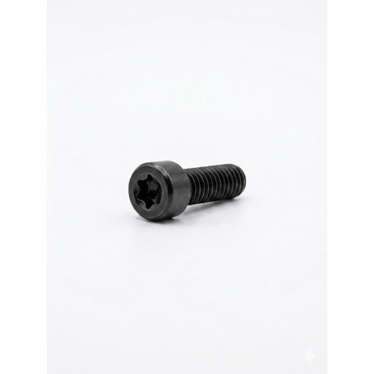 Poli Nicoletta vite Torx 3,5x06 confezione 1 pezzo